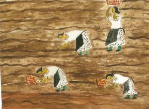 Rajkovia Marija  6.r  O     abno