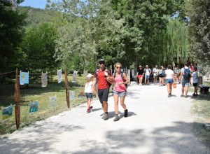 Balogijada 018