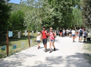 Balogijada 018